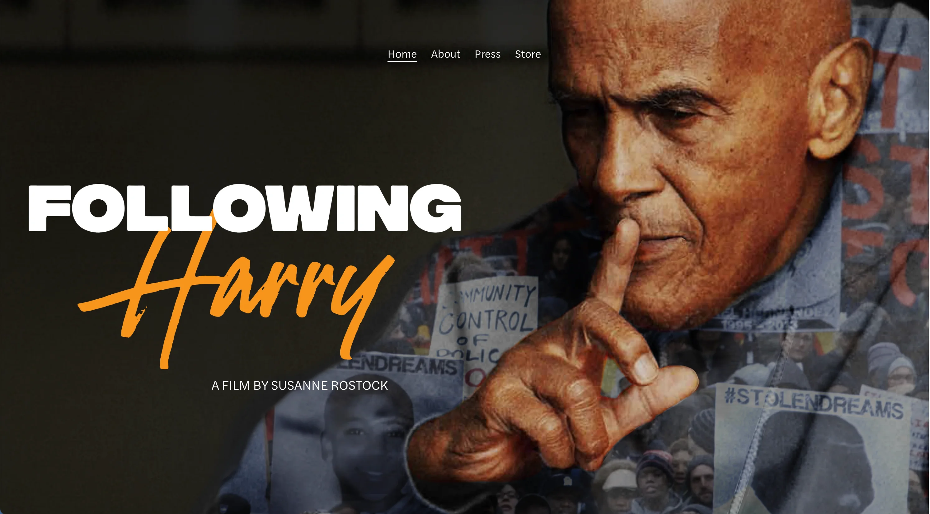 Following Harry movie image